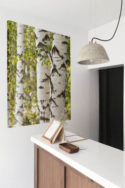 Akustikbild Birke V