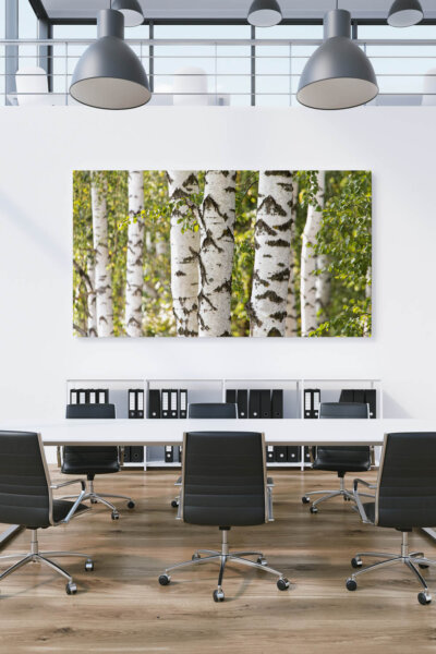 Akustikbild Birke V