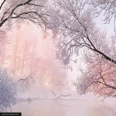Akustikbild Winterwald 2 – Bild 2