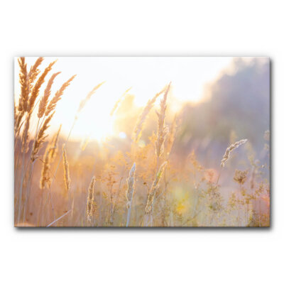 Akustikbild Kornfeld 3