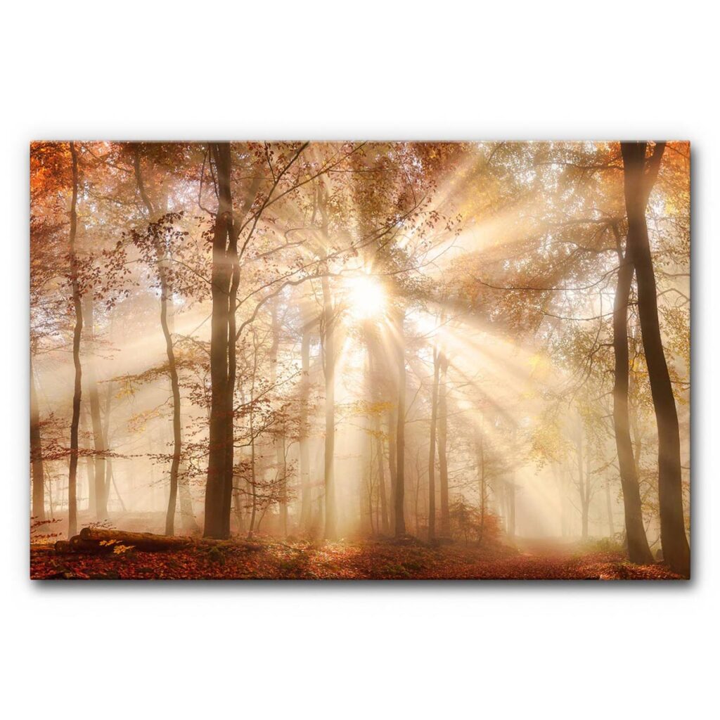 Akustikbild Herbstwald (2/3)