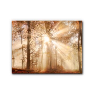 Akustikbild Herbstwald (2/3)