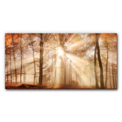Akustikbild Herbstwald (2/3)