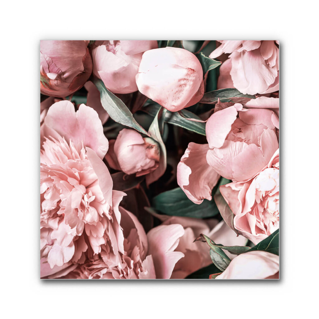 Akustikbild Pfingstrosen