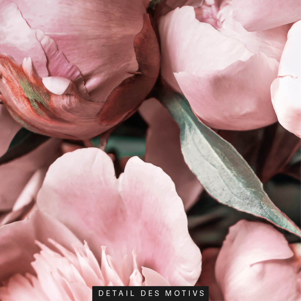 Akustikbild Pfingstrosen