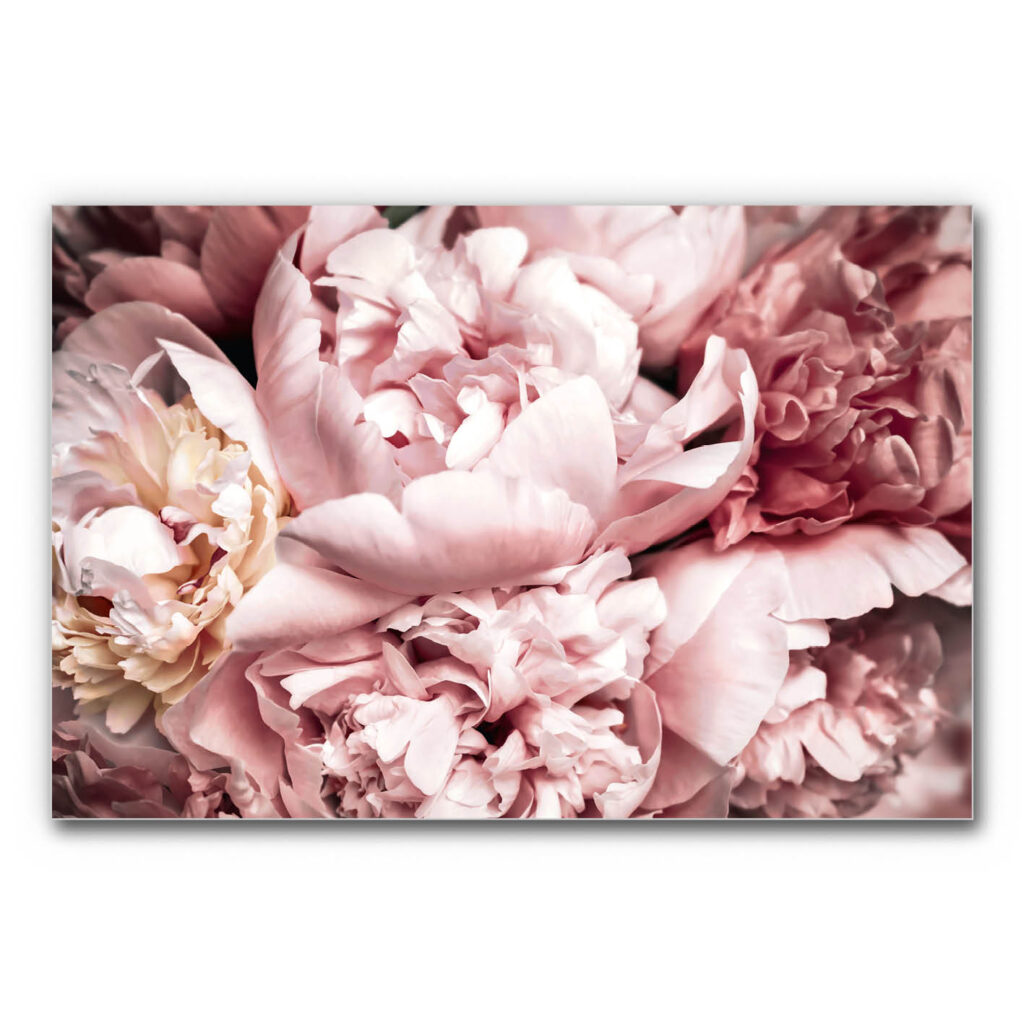 Akustikbild Pfingstrose 2