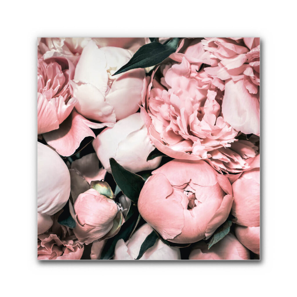 Akustikbild Pfingstrose 3