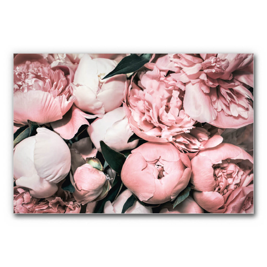 Akustisches Wandbild Detail Blumen zeigt eine Nahaufnahme von Pfingstrosenblüten mit vielen übereinanderliegenden Blütenblättern, die das Bild vollständig ausfüllen und eine weiche, ruhige Wirkung erzeugen.