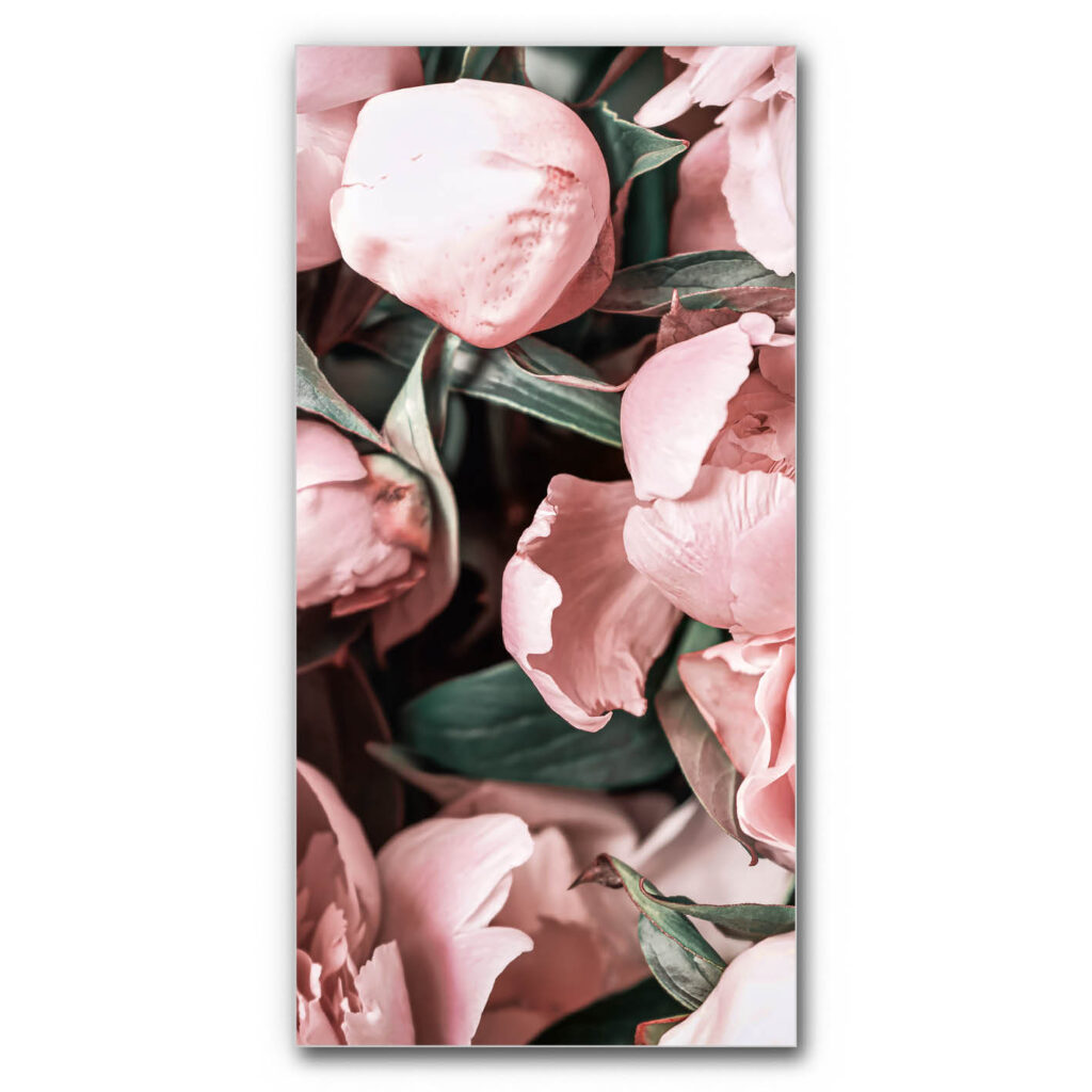 Akustikbild Pfingstrosen