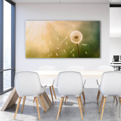 Akustikbild Pusteblume 2