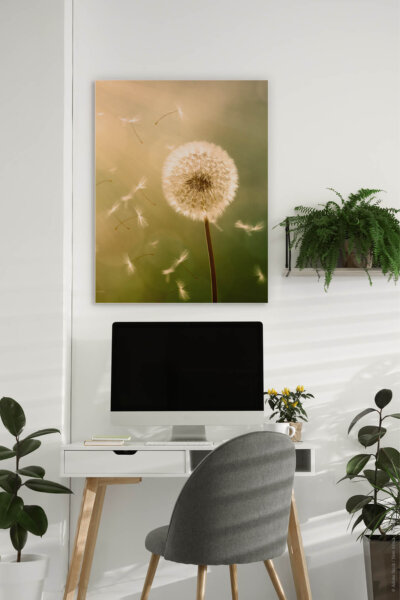 Akustikbild Pusteblume 2