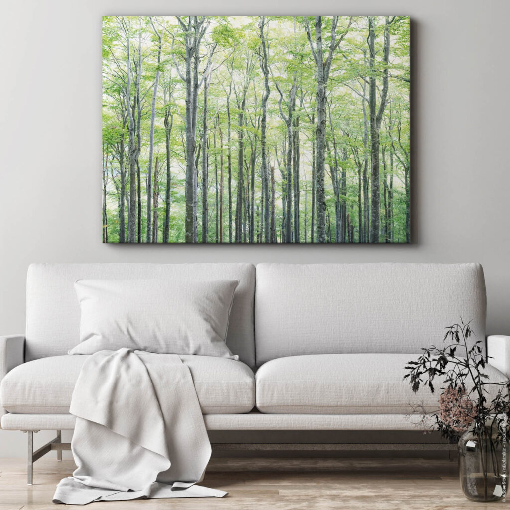 Schallabsorberbild Buchen