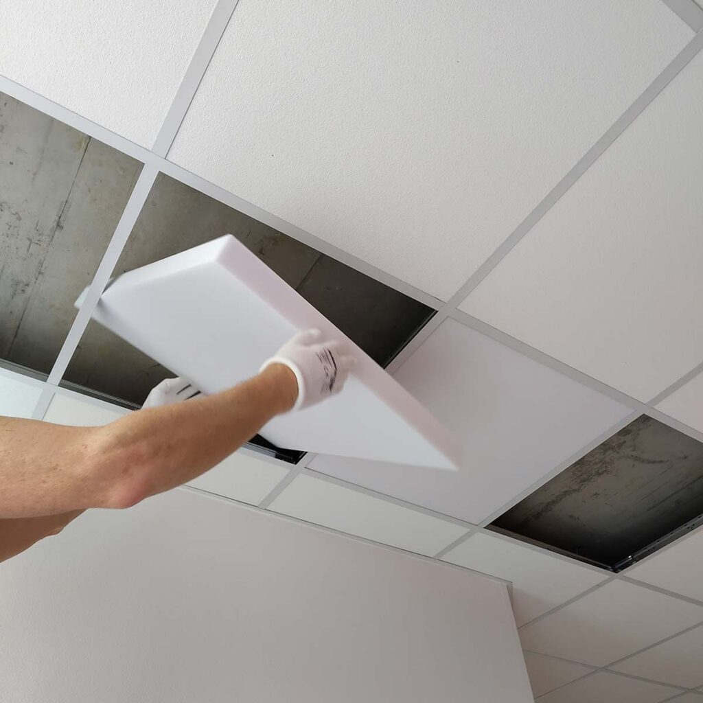 Einzelprodukt BASO Einlegen