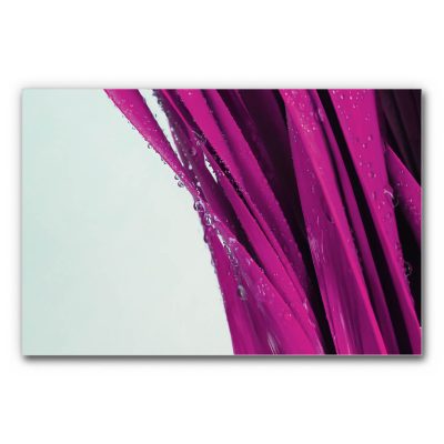 Buero-raum-akustik-verbessern-mit-bilder-natur-lila-graeser-tauperlen-3