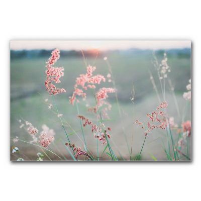 Akustikbild mit Spätsommer Wiese