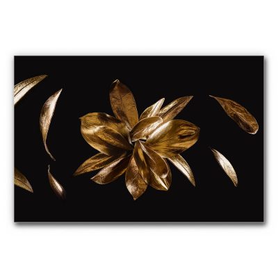 Akustikbild mit goldener Blüte auf Schwarz