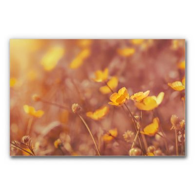 Akustikbild für Wartezimmer mit gelben Blüten