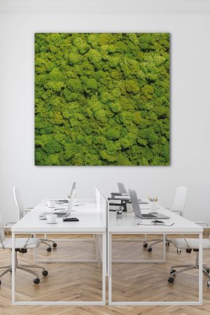 akustik-elemente-schallschutzbilder-raumakustik-schallabsorber-wand-dekoration-vertical-garden-moosbild-viii-38