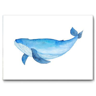 Akustikbild Wal als blaue Aquarell Malerei auf weißem Hintergrund