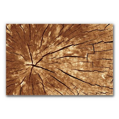 akustikbild-manufaktur-baum-wood-2-3