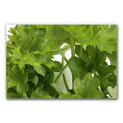 akustikbild-manufaktur-kueche-deko-petersilie-3