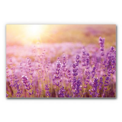 akustikbild-manufaktur-landschaft-italien-lavendelfeld-3