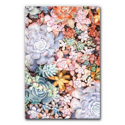 akustikbild-manufaktur-schallschutz-elemente-buero-wanddekoration-vertical-garden-moosbild-motive-sukkulenten-I-6