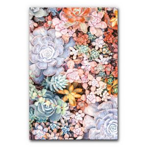 akustikbild-manufaktur-schallschutz-elemente-buero-wanddekoration-vertical-garden-moosbild-motive-sukkulenten-I-6