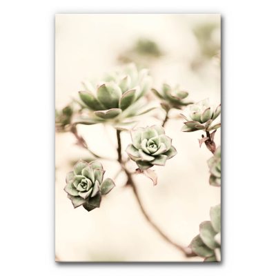 akustikbild-manufaktur-vertical-moosbild-sukkulenten-iii-6