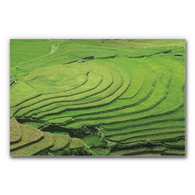 akustikbild-manufaktur-vietnam-reisterrassen-3