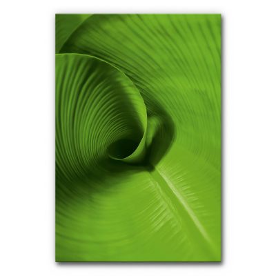 Akustikbild mit Bananenpflanze