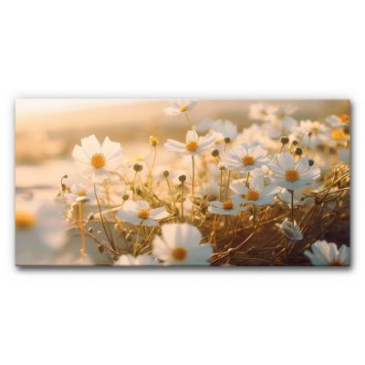 akustikbild-panorama-grossformat-ein-morgen-am-strand-4
