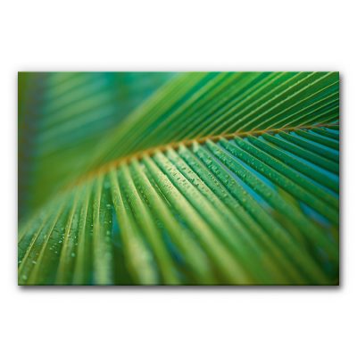 akustikbild-wand-schall-absorber-gruen-tropen-palmenblaetter-3