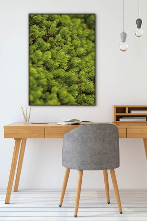 akustikbilder-manufaktur-moosbild-wanddekoration-herbst-schallschutz-schallabsorber-wand-moosbild-1-31