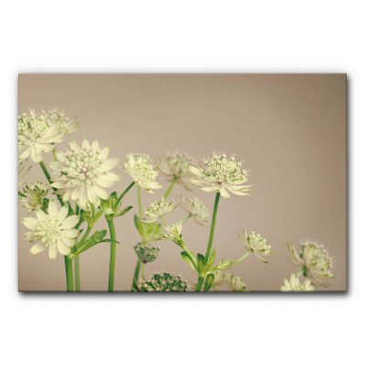 akustikbilder-raumakustik-verbessern-schallschutzelemente-wandabsorber-vertical-garden-natur-kleiner-garten-3