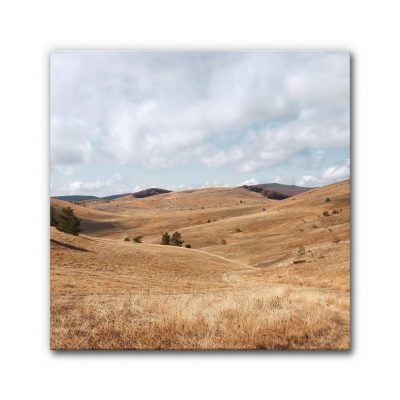 Schallabsorberbild mit weiter Hügellandschaft in warmen Naturtönen, sanft geschwungene Hügel, trockenes Gras und wolkigen Himmel als ruhiges, akustisch wirksames Wandbild.