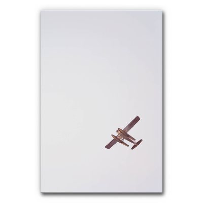 Design-Akustikbild Himmel und Leichtigkeit mit kleinem Wasserflugzeug vor weit geöffnetem Himmel in hellen Blau-, Grau- und sanften Rosétönen.