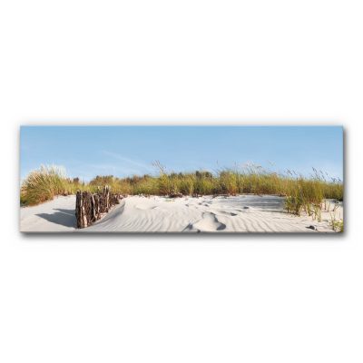 Akustikbild Düne 7 zeigt den Blick auf eine bewachsene Sanddüne.
