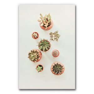 raumakustik-wandabsorber-akustikbild-kleine-kakteen-kaktuswelt-6