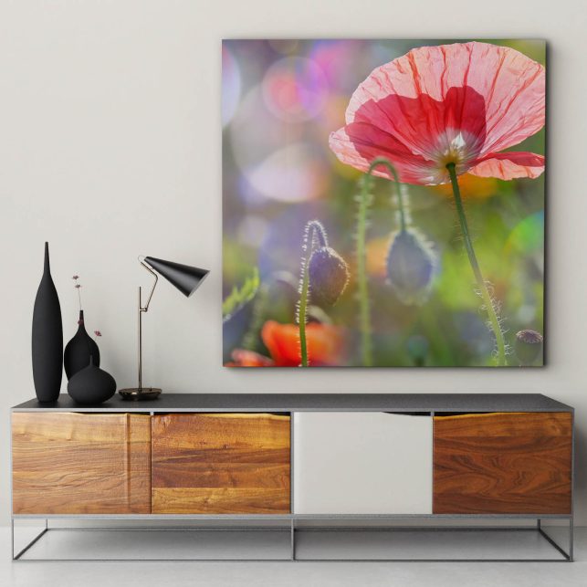 schallabsorber-panorama-natur-wiese-xxl-wandbild-mohnblueten-17 Akustik im Wohnzimmer verbessern mit einem Akustikbild