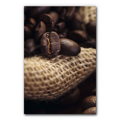 schallabsorber-raumakustik-restaurant-cafe-kueche-esszimmer-kaffee-pause-2-6