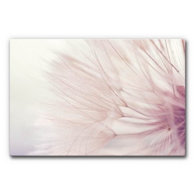 Akustikbild mit Pusteblume in Rosa