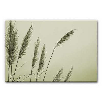 schallabsorber-wandbilder-akustik-natur-schilf-2-3