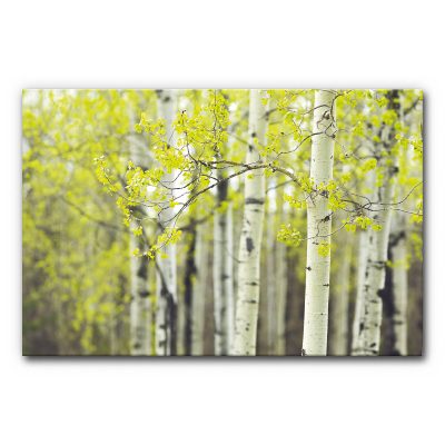 schallschlucker-bild-absorber-raumakustik-nachhall-zeit-hall-gruen-motiv-birke-iv-3