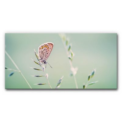 Schallminderndes Wandbild Schmetterling auf Gras, kleiner Bläuling sitzt auf feinem Grashalm vor weichem grünem Hintergrund, ruhige minimalistische Naturaufnahme.