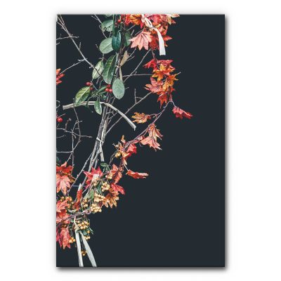 schallschutz-akustikbilder-raumakustik-buero-esszimmer-motiv-natur-schwarz-rot-gruen-red-leaves-on-black-5