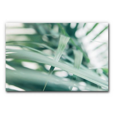 schallschutz-akustikbilder-wandbilder-wohnzimmer-kueche-praxis-buero-hall-reduzieren-motive-natur-palmen-gruen-tropical-3