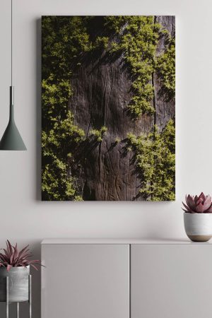 schallschutz-element-akustikbilder-manufaktur-wandbilder-raumakustik-moosbild-2-35