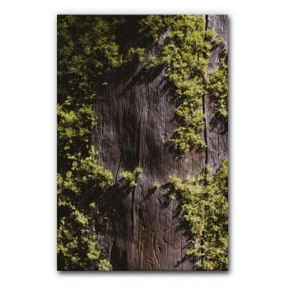 schallschutz-element-akustikbilder-manufaktur-wandbilder-raumakustik-moosbild-2-6