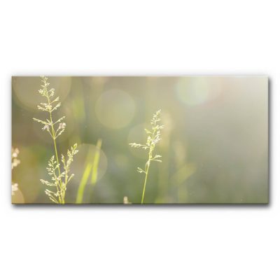 sommer-deko-wandgestaltung-akustikbilder-wiese-graeser-2-5